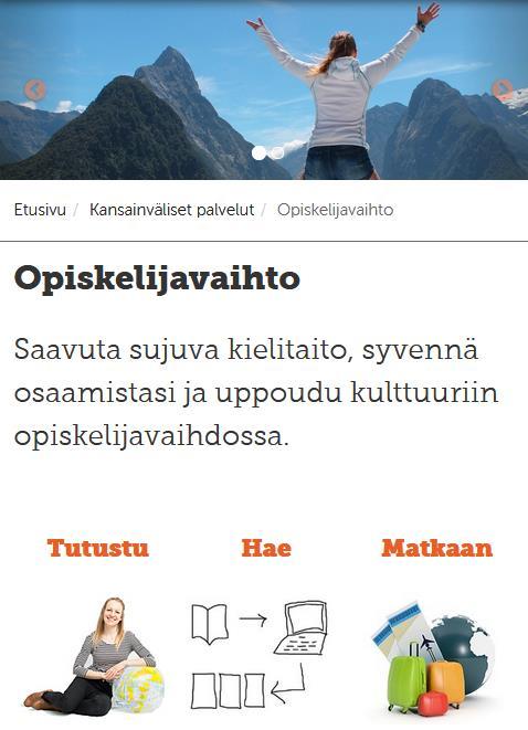 fi/vaihtoon