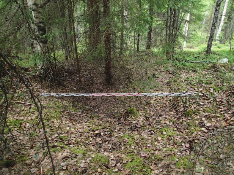 6 Kuoppa Pirkanmaan maakuntamuseon tekemässä maastotarkastuksessa 31.5.2018 (Vadim Adel) kaava-alueella oli havaittu suorakaiteen muotoinen kuoppa, mahdollisesti suojeltava kulttuuriperintökohde.