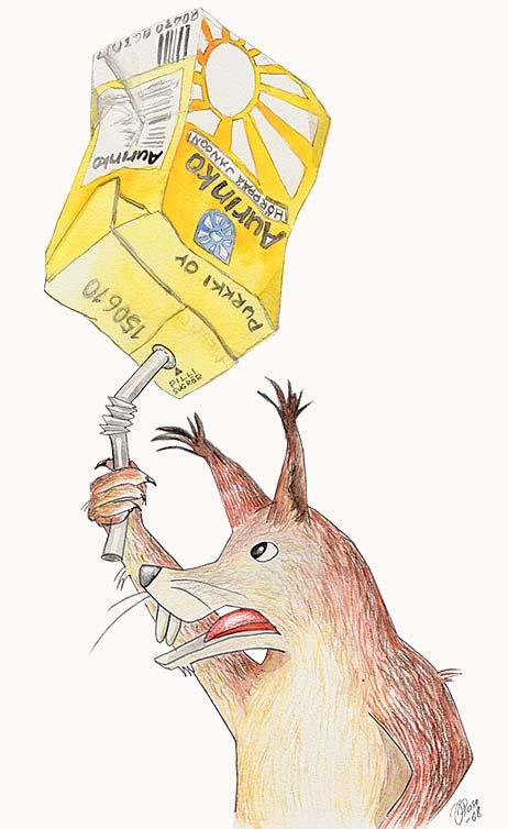 4 Roskatonta retkeilyä Repovedellä toteutetaan roskatonta retkeilyä.