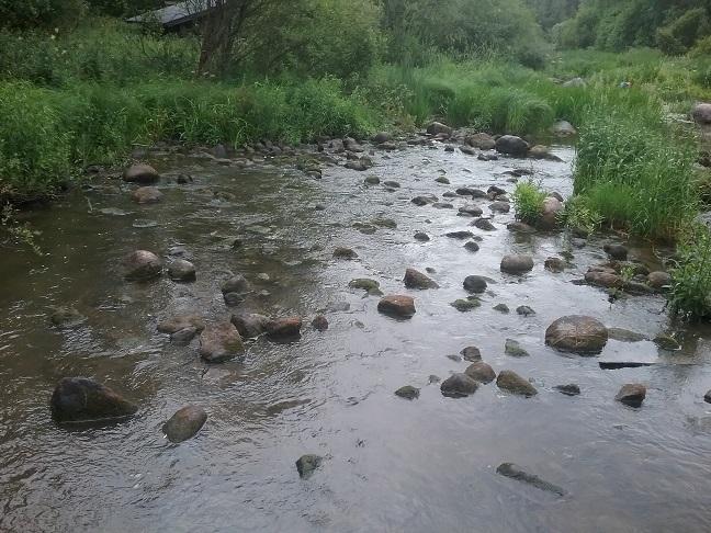 Kuva 20. Vuohenpäänkosken niska-alue alapuolelta kuvattuna Niskan etummainen kivi merkitty punaisella nuolella, kuten kuvassa 19. Niska-alue on selvän pohjakynnyksen muodostama virta-alue.