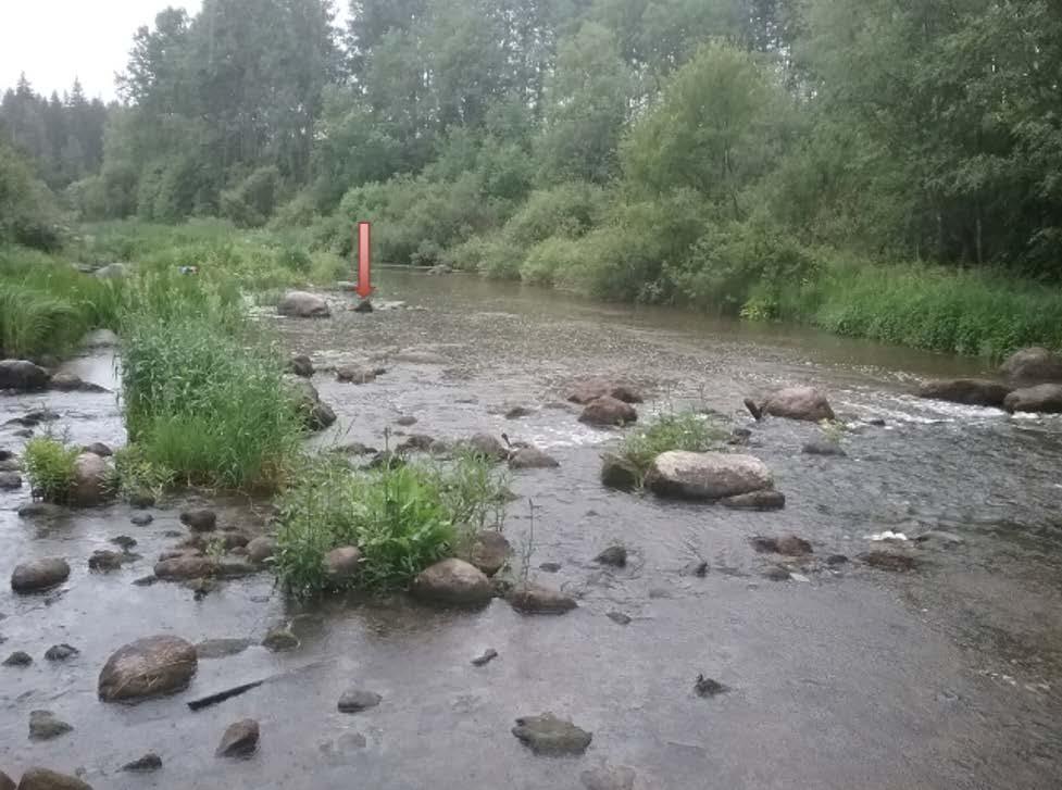 Kyseisellä alueella on vähän vanhaa kunnostussoraa, mutta aluetta ei lähtökohtaisesti kannata kunnostaa. Kuva 23.