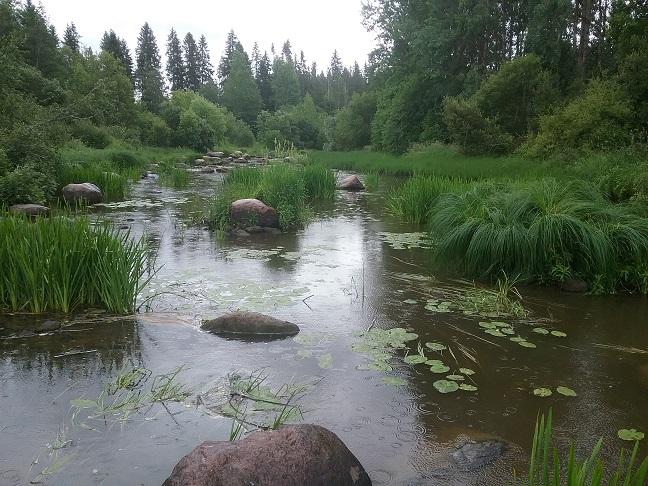 Soraistukset tulisi tehdä riittävän suuren virtauksen kohtiin tai välittömästi isojen kivien viereen.