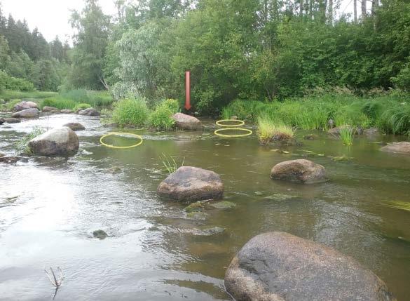 Kuvan keskivaiheilla, oikealla rannalla erityisesti heinikkosaaren rannan puolella on kunnostettavia alueita. Saaren etukivi merkitty punaisella nuolella (kts. kuva 27).