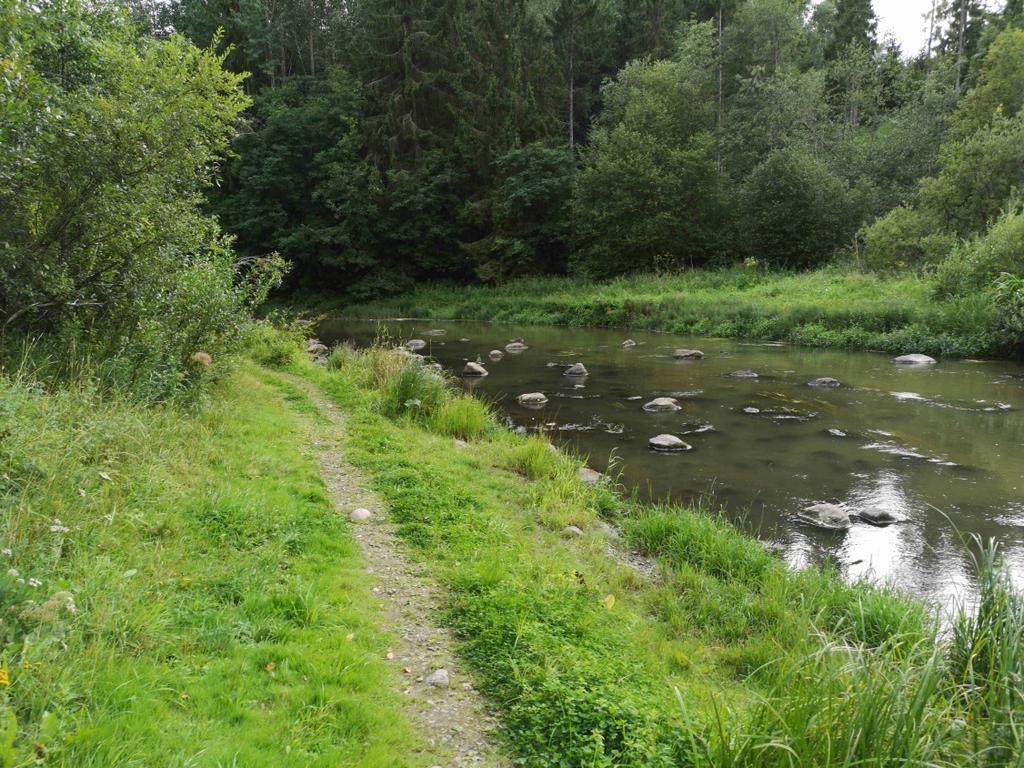 Kuva 53. Yleiskuva Siippoontien yläpuolisesta alueesta niska-alueen jälkeen.