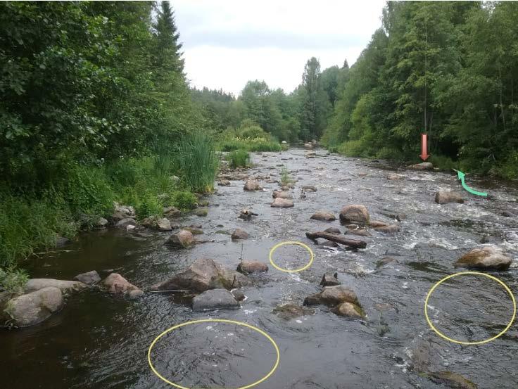 Tarvittaessa pohjaa tulee väliaikaisesti raivata, jonka aikana sivuun siirretyt kivet voidaan siirtää takaisin soraikoille tai niiden taakse tueksi. Kuva 80.