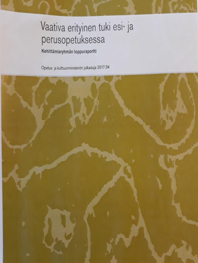 3 Sairaalaopetusyksiköt, Elmeri-koulut, valtion koulukotikoulut, kunnalliset erityiskoulut, Oppimis- ja ohjauskeskus Valteri sekä