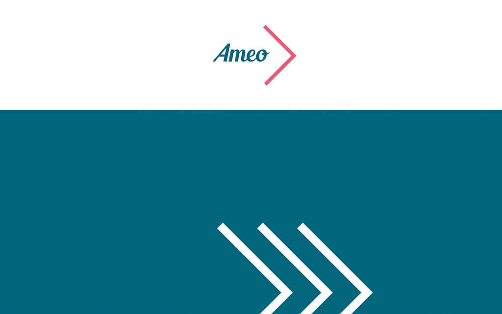 AMEO-strategia