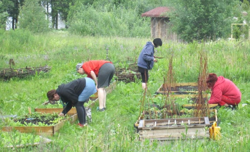 MAATILA-, PUISTO- JA KASVIMAAYMPÄRISTÖ SEKÄ KALASTUSTOIMINTA Säännöllistä