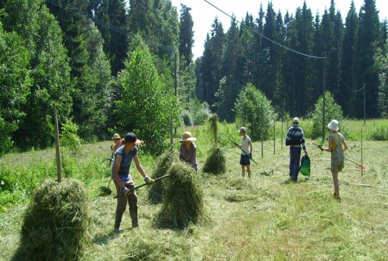 Toiminnan arviointia ja huomioita Uusien osallistujien perehdytys toimintaan ennen osallistumista. - kuntoutujat ja ohjaajat a savi.