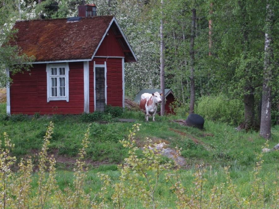 Kulkeminen on tapahtunut julkisilla liikennevälineillä. Majvik?