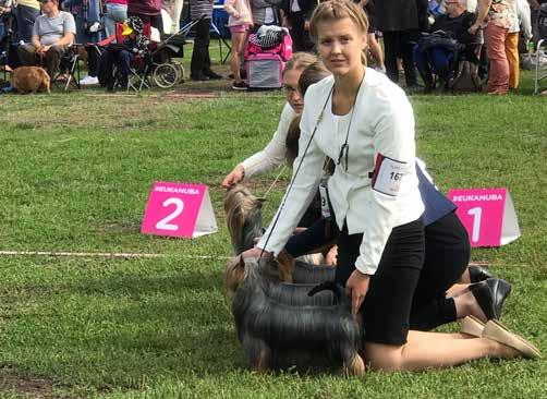 & kasvattajat ROP Kasvattajaluokka kennel