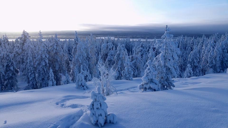 Yhden toimintavuoden budjetti / seura 50 000-65.000 Sisältää 15-25 nuoren henkilökohtaisen päivittäisen ohjauksen (ka 70 pv.