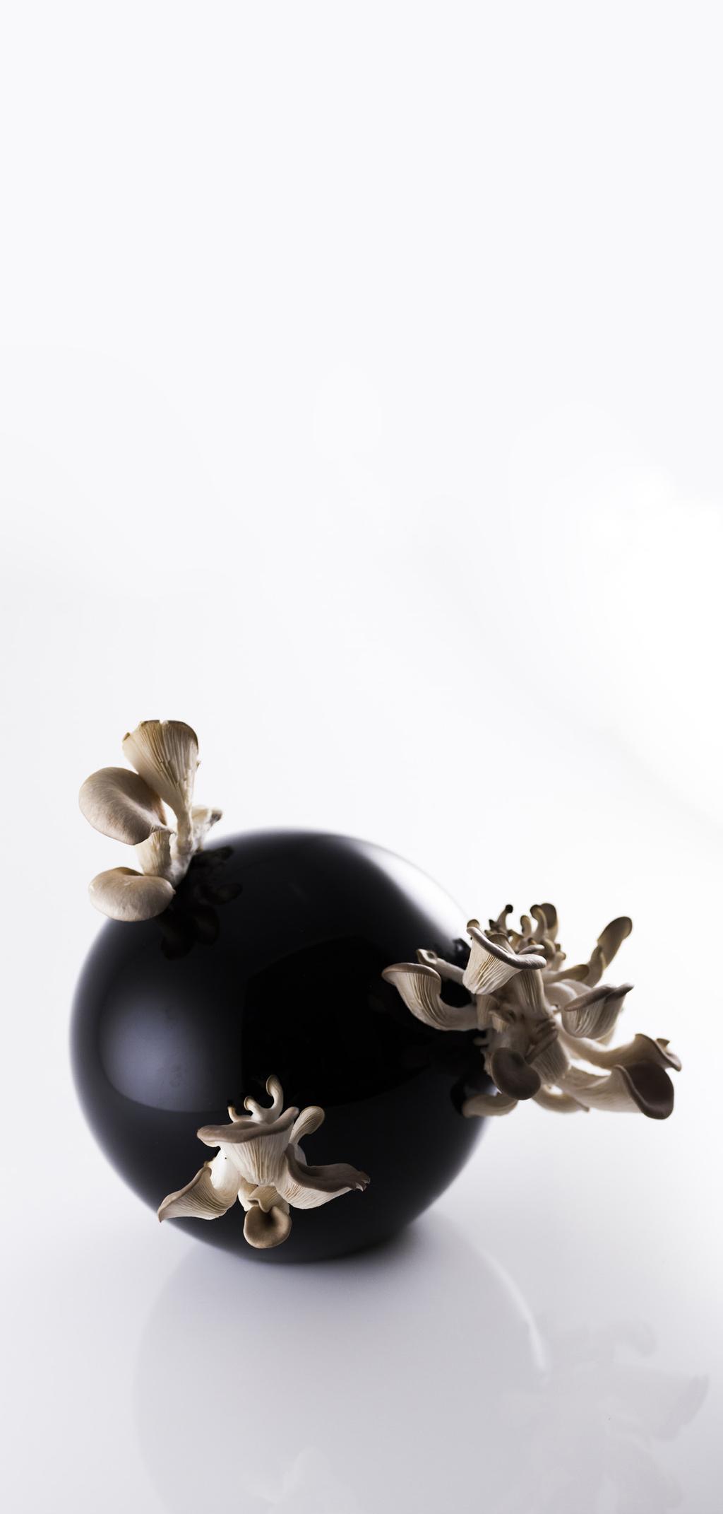 Grand Vin Designer We believe in design that appeals to emotions, and seduces people into