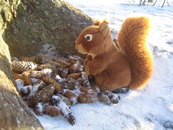 seuraavasti: Linnut ovat kertoneet minulle, että tekin olette panneet töpinäksi.