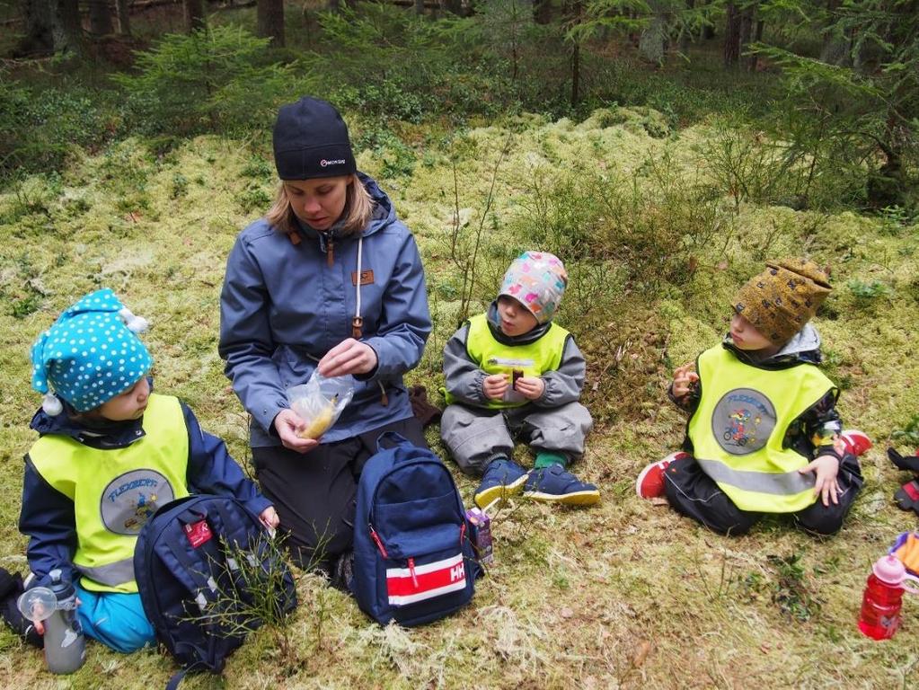 lähtivät mukaan metsäretkille.