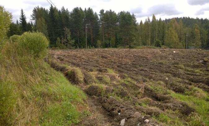 Laiminlyöntiä voidaan pitää tavanomaisena.