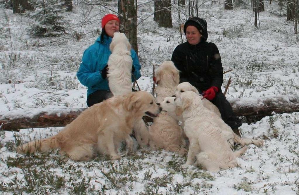 lämpöisiä hetkiä. Artikkelin teksti... 15.12. Joulupaniikkisiivoamista vaiko koiralenkille?