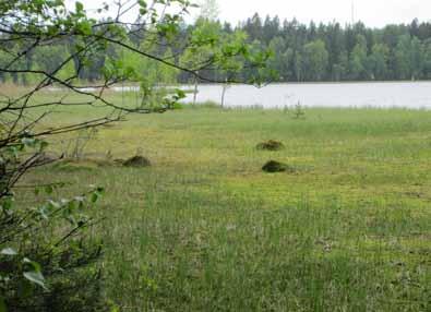 Näkymä kaava-alueen keskeltä