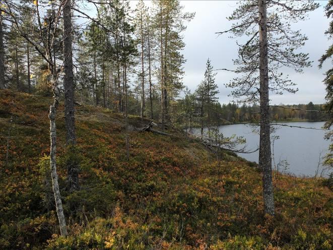 Kaava-alueen metsät ovat käsiteltyjä talousmetsiä, joten kaavoitus ja rakentaminen eivät vaikuta haitallisesti luonnonympäristöön ja sen säilymiseen. Kaava-alue ei ole pohjavesialuetta.