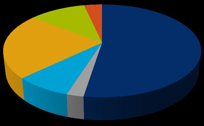 Poliisiammattikorkeakoulun menojakauma Vuokrat 23 % Palvelujen ostot 11 % Muut kulut 3 % Aineet ja tarvikkeet 8 % Investointihankinnat 2 % Henkilöstömenot 53 % Kuva 1 Menojakauma vuonna