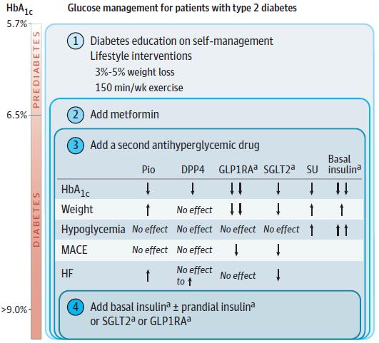 Tyypin 2 diabeteksen kokonaisvaltainen nykyhoito Hyperglykemian hoito Muu hoito -