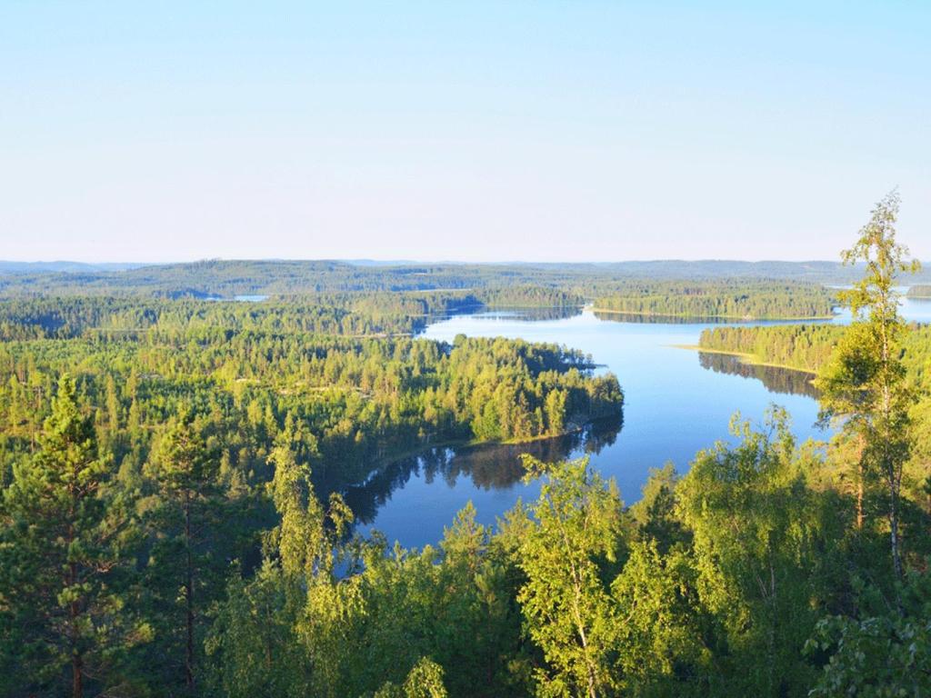 Kaakkois-Suomen metsäohjelma, toimenpiteiden