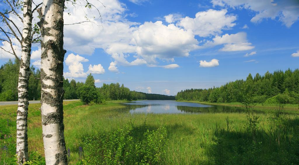 Meillä on mistä valita Kotimaisten ovien laadun takeena on juvalainen ammattitaito.