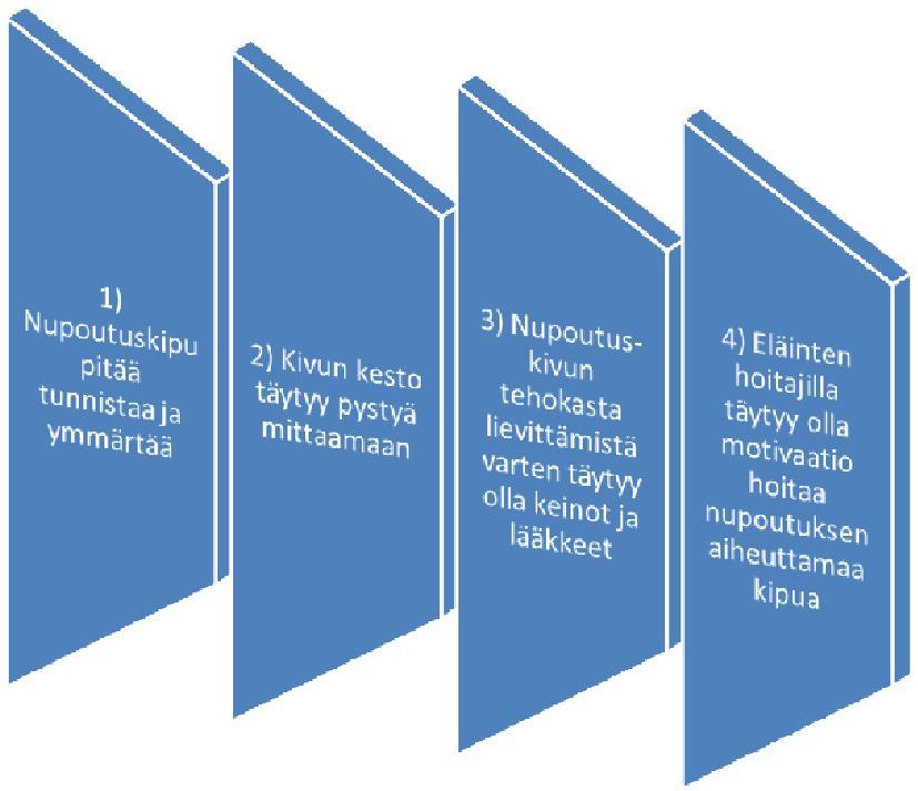 Nupoutus kuumapoltolla Koska kylmäpoltto ei käytännössä toimi, kuumapoltto on Suomessa ainoa laillinen tapa nupouttaa vasikat Voidaan lain mukaan tehdä ilman kivunlievitystä alle 4 viikkoisille