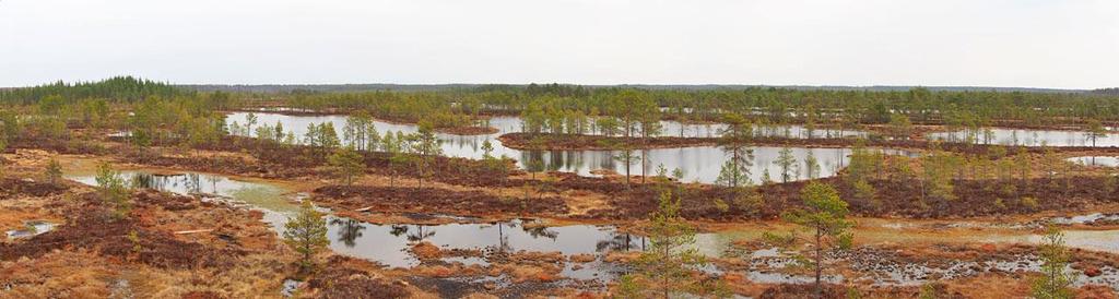 Isojoen ja Karvianjoen valumaalueiden geologiset