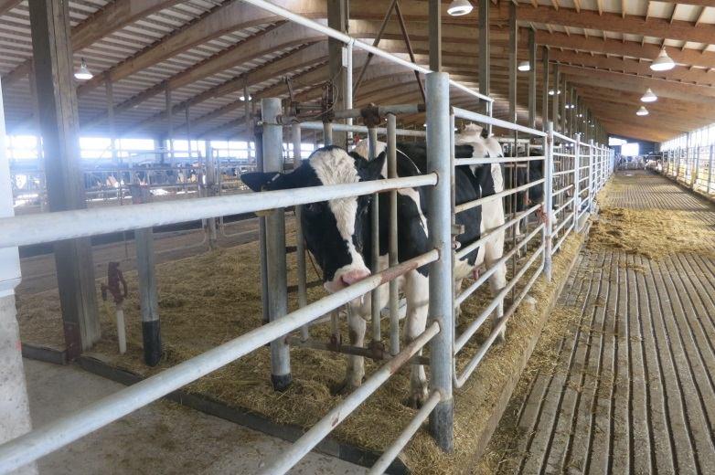 navettahallissa pituussuuntainen kallistus keskelle Omro Dairy Omro Dairy