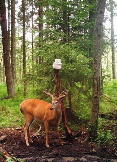 Uudenmaan Metsästäjien palvelumuistio 2017 Suomen Metsästäjäliitto Uudenmaan piiri ry Finlands Jägarförbunds Nylands Distrikt rf Julkaisutoimikunta: Timo Tanner, Mauno Mynttinen, Bo-Krister Lindholm,