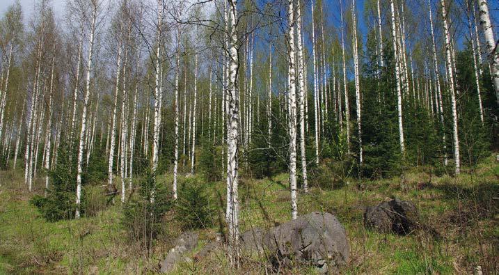 - Juhlat ja Kokoukset Soukkion Seuratalo. Soukkiontie 558, 04740 Sälinkää Varaukset ja tiedustelut Juha Koivisto puh. 040 513 2987 www. soukkionms.