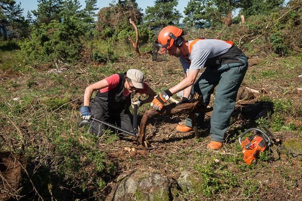 muutamalla yrittäjällä Tavoitteena, että veneettömät löytävät saaristoon