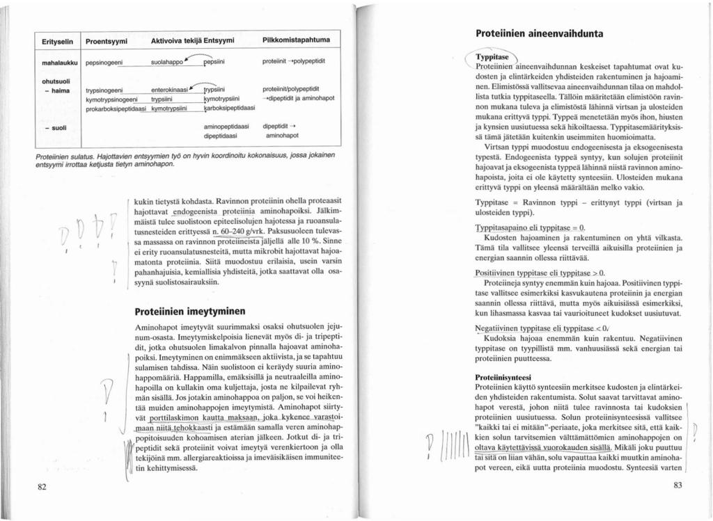 ,0 pepsinogee'""i,- ~'~oola=~h'~"""=_'_"'_"_"'~'~siini Proteiinien sulatus. Hajottavien entsyymien työ on hyvin koordino;fu kokonaisuus, JOSS8 jokamen entsyymi irrottaa ketjusfa tietyn aminohapon.