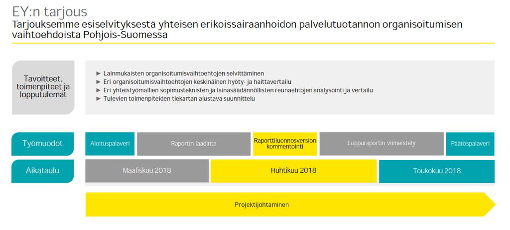 ohjausryhmän kokoukset: