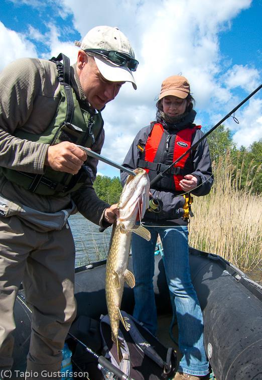 Kalastusmatkailu 18 alueellinen lupa kalastusopastoimintaan Ely voi myöntää, enintään 6 kalastajaa ja yleiskalastusoikeudet 100 euroa/vuosi valtiolle + kalastajien kalastonhoitomaksut Lupa vois