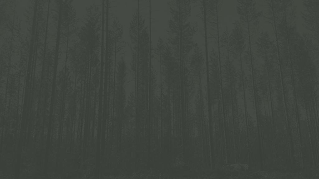 Suomen Sijoitusmetsät Oy ja metsäkiinteistömarkkinan