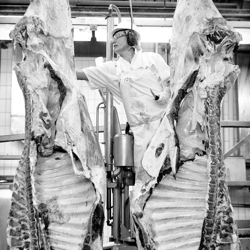 Laatulihasta kaikki alkaa HKScan Pro Beef -palvelukonsepti rakentuu huippulaatuisen raaka-aineen ympärille.