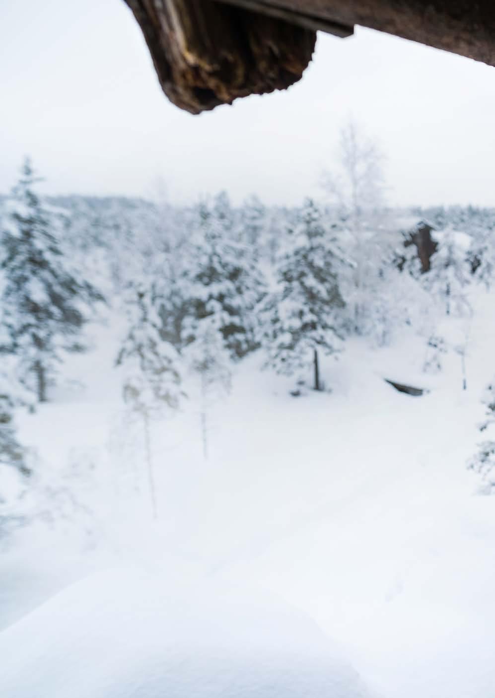 Jokainen vuodenaika tuo suolle oman tarinansa. Päähenkilönä on useimmiten hiljaisuus, nykyihmiselle niin tärkeä voimavara.