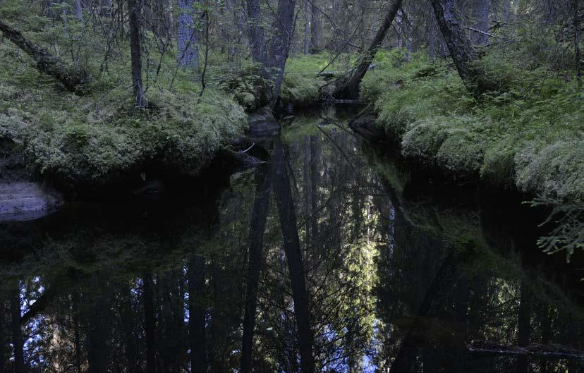 Sisältö Tervetuloa tutustumaan Etelä-Pohjanmaan, Pohjois-Satakunnan ja Pirkanmaan rajaseuduilla sijaitsevaan