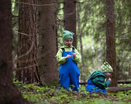 LÄHDEVESI Lähteen vapauttama vesi viiltää välähtävän uoman vihreään sammalikkoon.