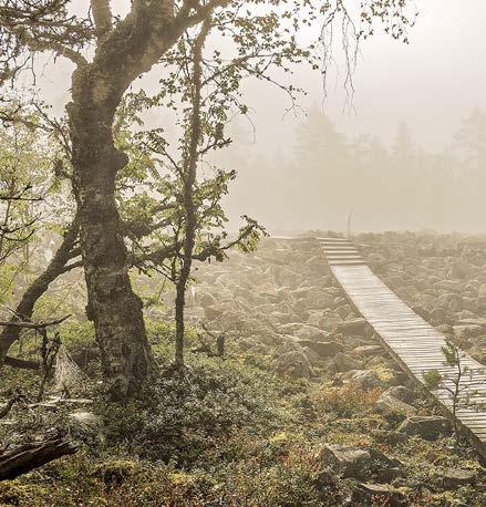 Yksi on ylitse muiden: tulevan Geoparkin pääteema SUO. Alueelta löytyy eteläisen Suomen suurimpia erämaisia keidassoita, joita pääsee ihailemaan helppokulkuisia polkuja ja pitkosreittejä pitkin.