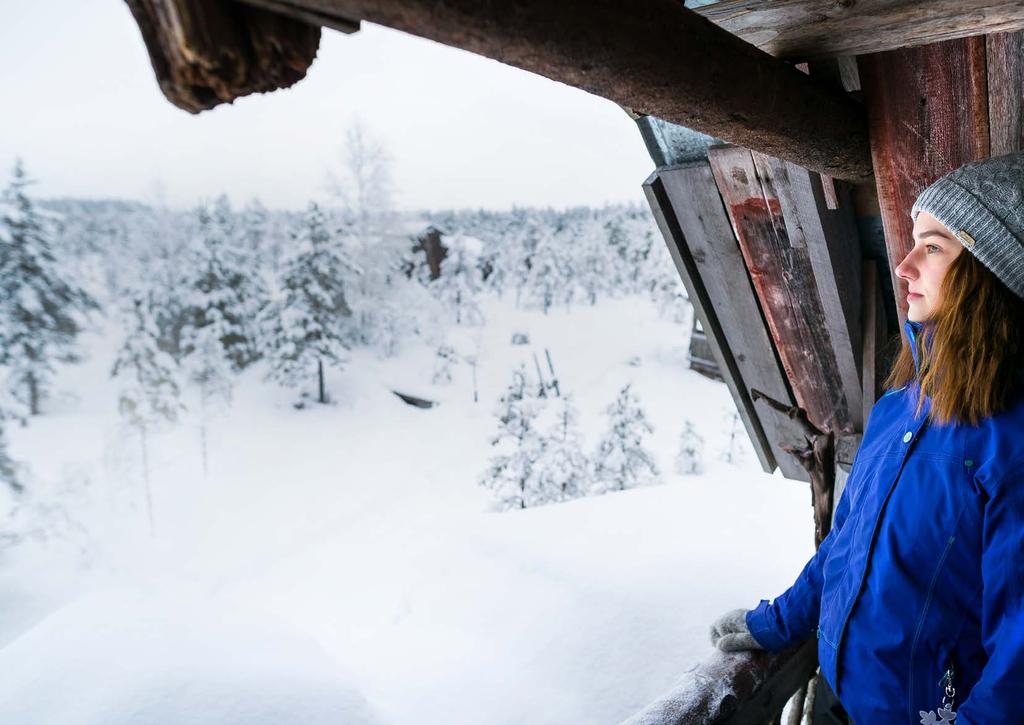 Jokainen vuodenaika tuo suolle oman tarinansa. Päähenkilönä on useimmiten hiljaisuus, nykyihmiselle niin tärkeä voimavara.
