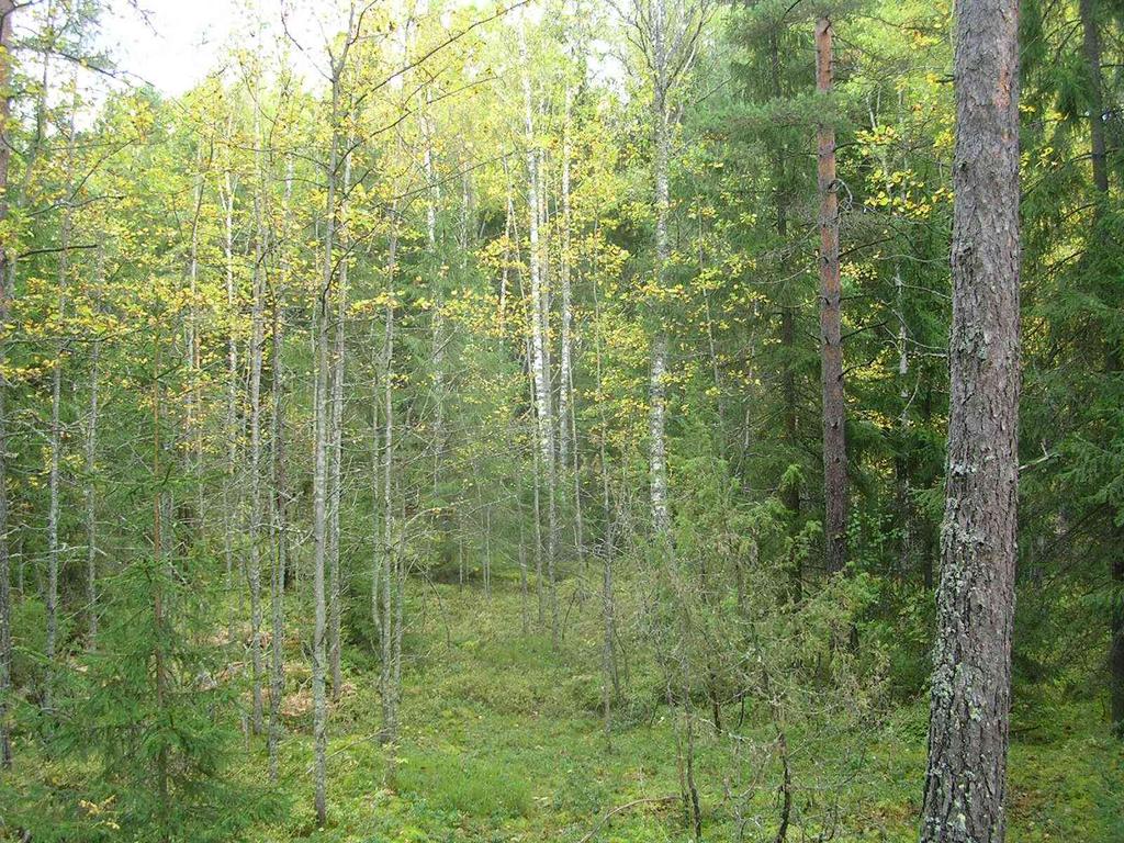 63 arvojen säilyttäminen, varautuminen ilmastomuutokseen sekä entistä useampien tutkimusten mukaan myös metsänomistajalle kannattava metsätalous (Tahvonen 2010, Pukkala 2011).