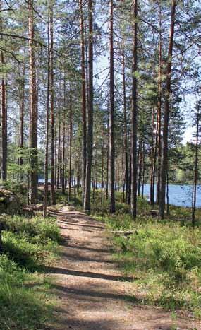 Vaativuus Tietä pitkin kuljettuna kohde soveltuu esim. lastenrattaiden kanssa retkeileville (sininen). Retkeilyreittiä pitkin retki on vaativampi ja sisältää mäen ylityksen (punainen).
