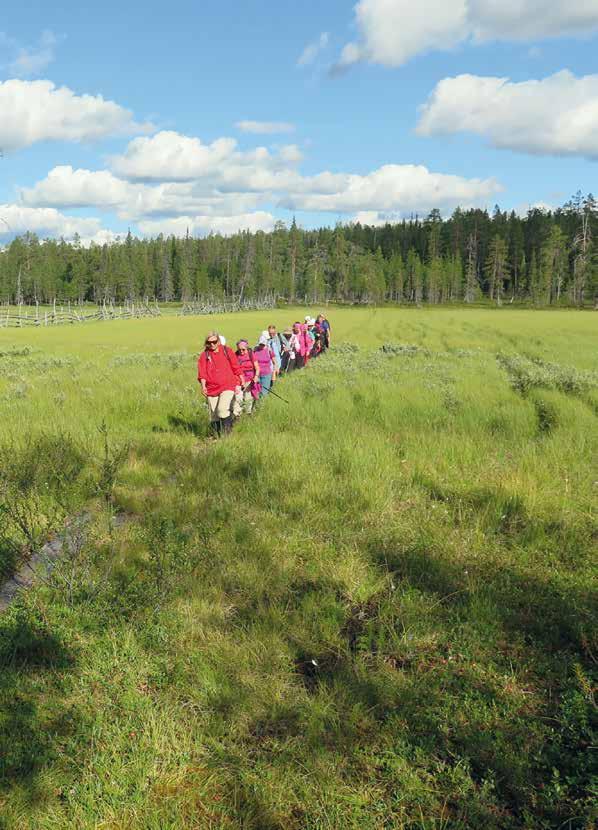 Sisältö Puheenjohtajan pulinoita Teksti: Hessu Puheenjohtajan pulinoita...5 Majakuulumisia...6 Majatalkoot 19.5.2018 klo 9 15...6 Hallihanke (20330)...6 Vapepa... 7 Keski-Suomen maakuntaura.
