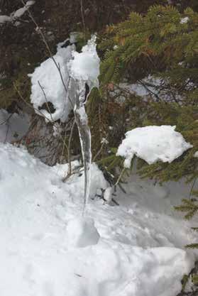 Viettää metsässä kännykkävapaa päivä ja nauttia yhdessäolosta uusien ihmisten seurassa sekä nähdä ja kokea luonnon tuoma rauha ja niin hiljaa etenevä elämä.