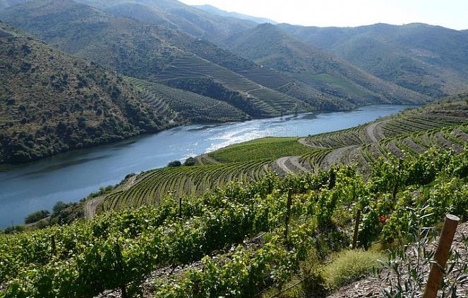 Quinta do