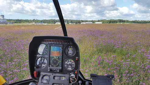 7 Kuva: Max Härus lentoaseman niittybiotooppi on harvinaisen monipuolinen luontoparatiisi. Näkymä helikopteri OH-HFB:sta, pilottina Max Härus.