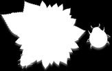 jankohdat: Ti 26.6. Ristironkkelissa klo 10-16 Ti 3.7. Kangasjärvellä 10-16 Ke 4.7. Paskokankaalla 10-16 Ilmoittautuminen 14.6.mennessä Sanna Toppiselle p. 044-5118 339.